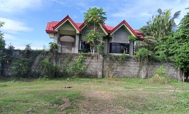 FOR SALE! House and Lot in Dumpay, Basista, Pangasinan