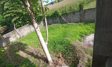 FOR SALE! House and Lot in Dumpay, Basista, Pangasinan