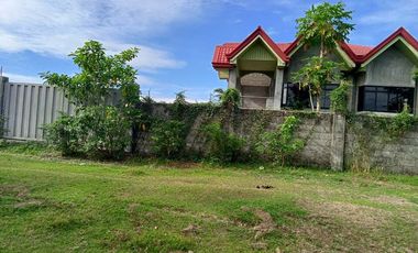 FOR SALE! House and Lot in Dumpay, Basista, Pangasinan