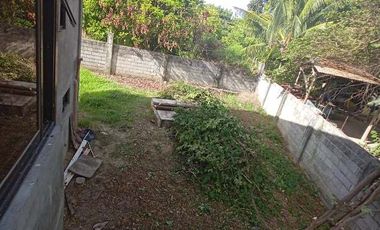 FOR SALE! House and Lot in Dumpay, Basista, Pangasinan