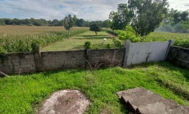 FOR SALE! House and Lot in Dumpay, Basista, Pangasinan