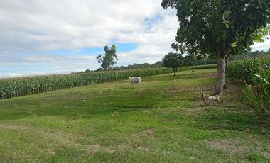 FOR SALE! House and Lot in Dumpay, Basista, Pangasinan