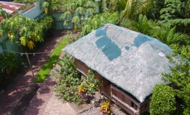 Residential House And Lot For Sale In San Antonio, Nueva Ecija