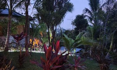 Short Term Options -Mountain House with Pool - Minglanilla, Cebu