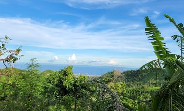 Short Term Options -Mountain House with Pool - Minglanilla, Cebu