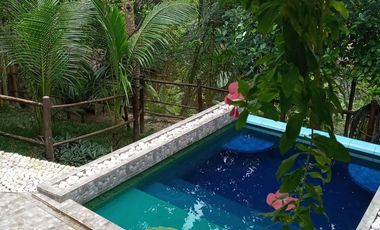Short Term Options -Mountain House with Pool - Minglanilla, Cebu