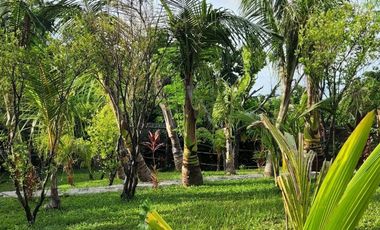 Short Term Options -Mountain House with Pool - Minglanilla, Cebu