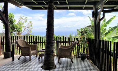 Short Term Options -Mountain House with Pool - Minglanilla, Cebu