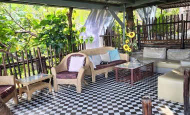 Short Term Options -Mountain House with Pool - Minglanilla, Cebu