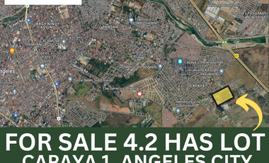 4.21 Hectare Lot For Sale Capaya 1 Angeles City Beside Metrogate