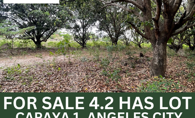 4.21 Hectare Lot For Sale Capaya 1 Angeles City Beside Metrogate