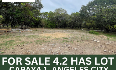 4.21 Hectare Lot For Sale Capaya 1 Angeles City Beside Metrogate
