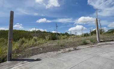 Residential Lot for Sale in Compostela, Cebu at Amoa