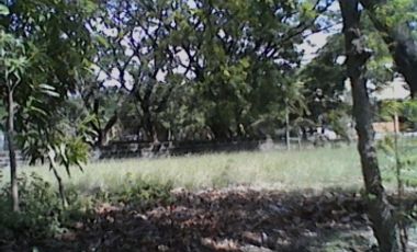 Residential Plot for sale in Metro Manila, Parañaque City