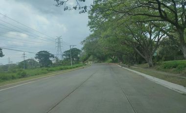 378sqm Residential Lot for sale in Las Haciendas De Luisita, Tarlac