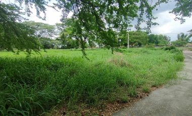 378sqm Residential Lot for sale in Las Haciendas De Luisita, Tarlac