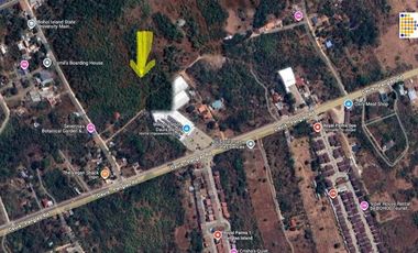 Panglao Island: 8,780 sqm. lot suitable for apartment development