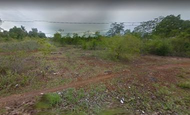 Panglao Island: 8,780 sqm. lot suitable for apartment development