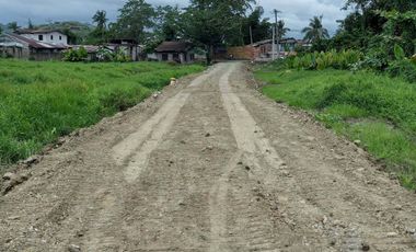 Industrial Lot for Sale in Barangay 94, Tacloban City, Leyte