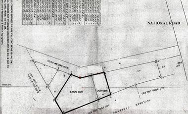 Industrial Lot for Sale in Barangay 94, Tacloban City, Leyte
