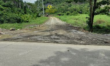 Industrial Lot for Sale in Barangay 94, Tacloban City, Leyte