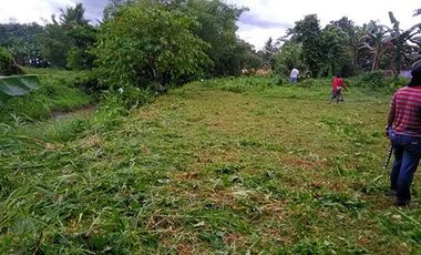 For Sale 1,684 sq. meters Residential Lot Cum Farm Lot in Alangalang, Leyte