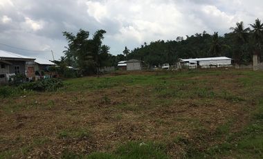 For Sale 1,684 sq. meters Residential Lot Cum Farm Lot in Alangalang, Leyte