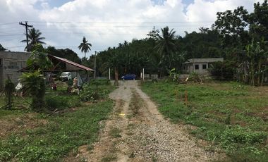 For Sale 1,684 sq. meters Residential Lot Cum Farm Lot in Alangalang, Leyte