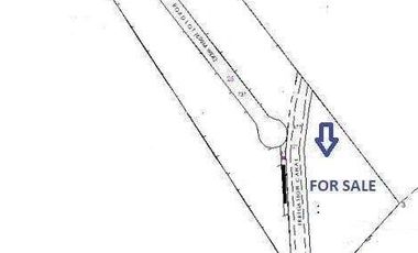 For Sale 1,684 sq. meters Residential Lot Cum Farm Lot in Alangalang, Leyte