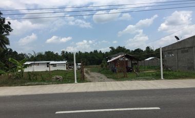 For Sale 1,684 sq. meters Residential Lot Cum Farm Lot in Alangalang, Leyte