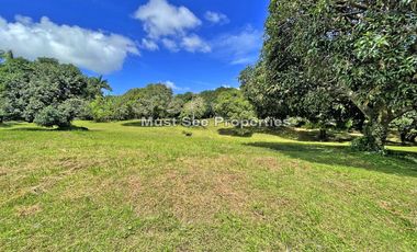 Ayala Westgrove Heights, Silang Cavite 567 sqm Lot for Sale
