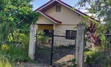 2 Bedrooms 1 Toilet and Bath House & Lot for Sale in San Isidro, Dauis, Panglao