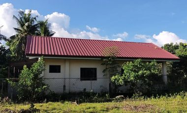 2 Bedrooms 1 Toilet and Bath House & Lot for Sale in San Isidro, Dauis, Panglao