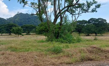 Residential Lot in Palo Alto with Mountain view and close to the gate