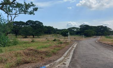 Residential Lot in Palo Alto with Mountain view and close to the gate