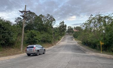 Tagaytay vacant lot for sale overlooking Palm Ridge Pointe Talisay