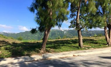 Tagaytay vacant lot for sale overlooking Palm Ridge Pointe Talisay