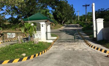 Tagaytay vacant lot for sale overlooking Palm Ridge Pointe Talisay