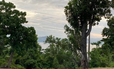 Tagaytay vacant lot for sale overlooking Palm Ridge Pointe Talisay
