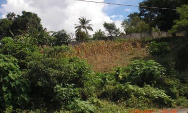Tagaytay vacant lot for sale overlooking Palm Ridge Pointe Talisay
