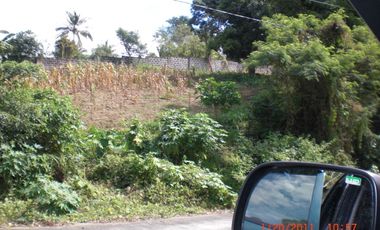 Tagaytay vacant lot for sale overlooking Palm Ridge Pointe Talisay