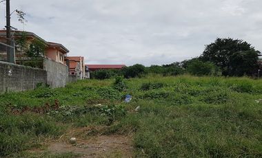 Residential Lot For Sale in Fortunata Village, Paranaque City