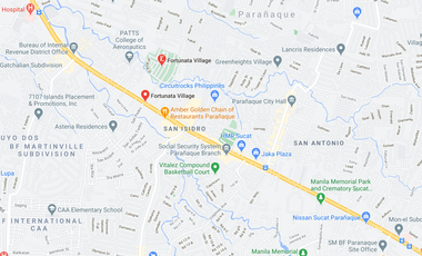 Residential Lot For Sale in Fortunata Village, Paranaque City