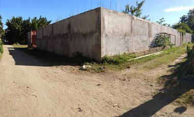 Lot with Concrete fence in Aganan, Pavia