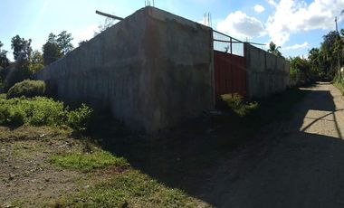 Lot with Concrete fence in Aganan, Pavia