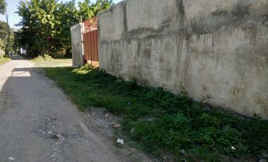 Lot with Concrete fence in Aganan, Pavia