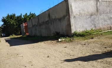 Lot with Concrete fence in Aganan, Pavia
