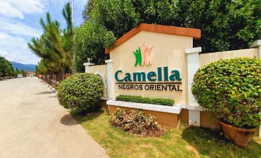 Arielle IU 2BR Townhouse for Sale in Camella Negros Oriental Ph1A Dumaguete City