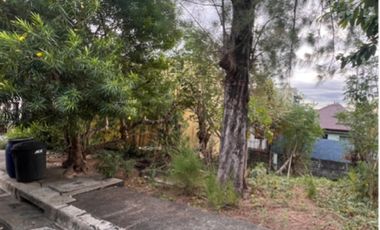Residential Lot with City Views in Alta Vista, Antipolo City