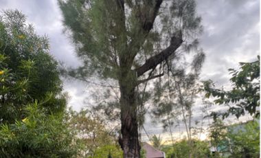 Residential Lot with City Views in Alta Vista, Antipolo City